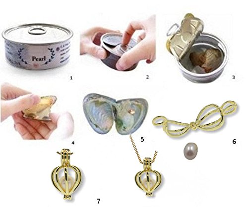 Pearlina Cultured Wish Pearl in Oyster Necklace Set Gold Plated Cage Locket w/Stainless Steel Chain 18"3