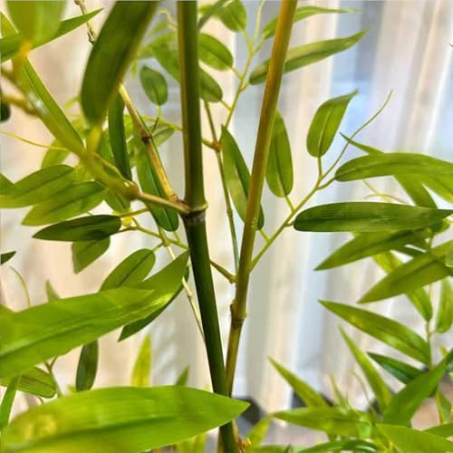 Wetsfgdg �l�H�ϗt�A�� �l�H�|�̖� 180cm �|�_�t�F���X ���O �l�H�|�̖ډB���X�N���[�� �׉Ƃ⓹�H����̃v���C�o�V�[����������ی� ���p�\�ȑϋv�� �􂦂�̂Ńz�R���≘������S ���։���x�����_�̎��p�X�y�[�X��f�G�Șa���_����Ԃɕς��܂�(