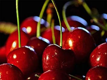 Ado Surface Wooden Home Painted Main Door(36x81)