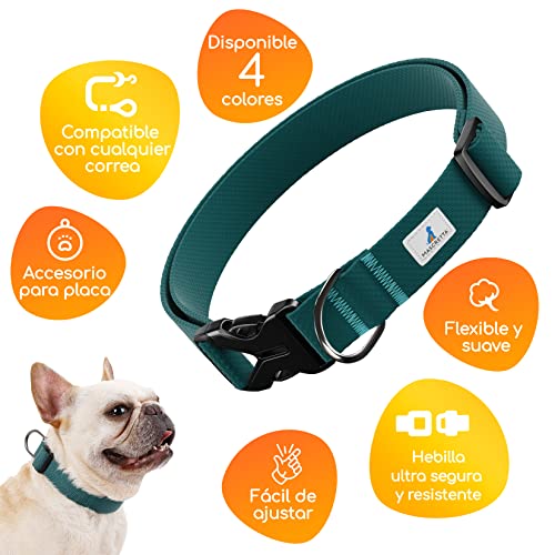 Collares para perros 11 Imagen adicional