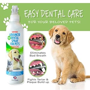 Dog Dental Spray Removes Tartar Plaque and Freshens Breath Instantly the Most Advanced Dental Spray for Healthy Teeth Gums and Oral Health Care for Your Dog Cat or Pet  18 Oz Bottle  Cucciolini Doodles Dog dental spray removes tartar plaque and freshens breath instantly The most advanced dental spray for healthy teeth gums and oral health care for your dog cat or pet  1 8 oz Bottle   cucciolini doodles