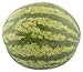 Organic Seedless Watermelon