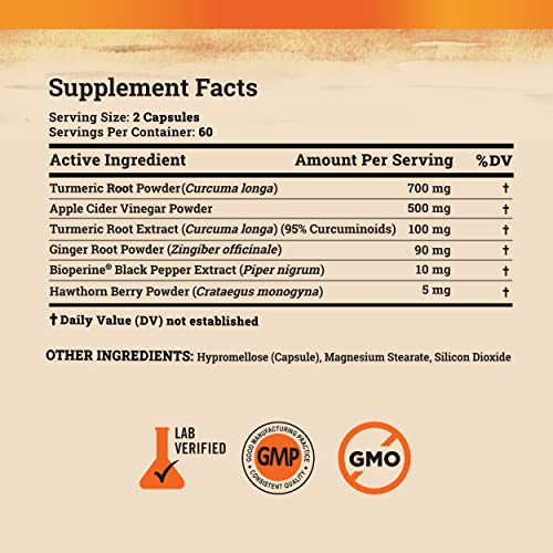 Turmeric And Ginger Supplement - Tumeric Curcumin Joint Support Pills - With Apple Cider Vinegar & Bioperine Black Pepper - 95% Curcuminoids -120 Capsules #TOP5
