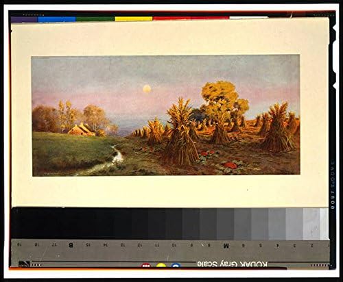 HistoricalFindings Foto: Nature's Bounty,c1910,Choques de maíz en el campo,Foto de Edwin Lamasure,Tierras de cultivo