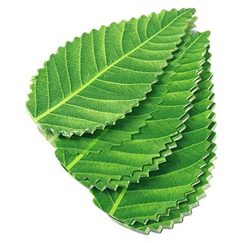 Aiasiry Sushi Decoration Leaves (200 Pcs) Sushi Tools House Party Supplies Chef'S Plate,Green Cover