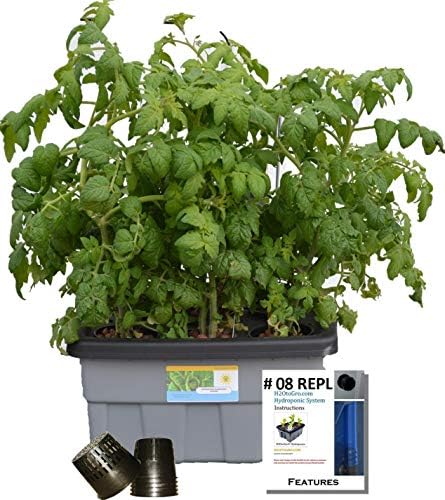 Basic Hydroponic DWC Plant Growing kit # 8 6-site H2OtoGro