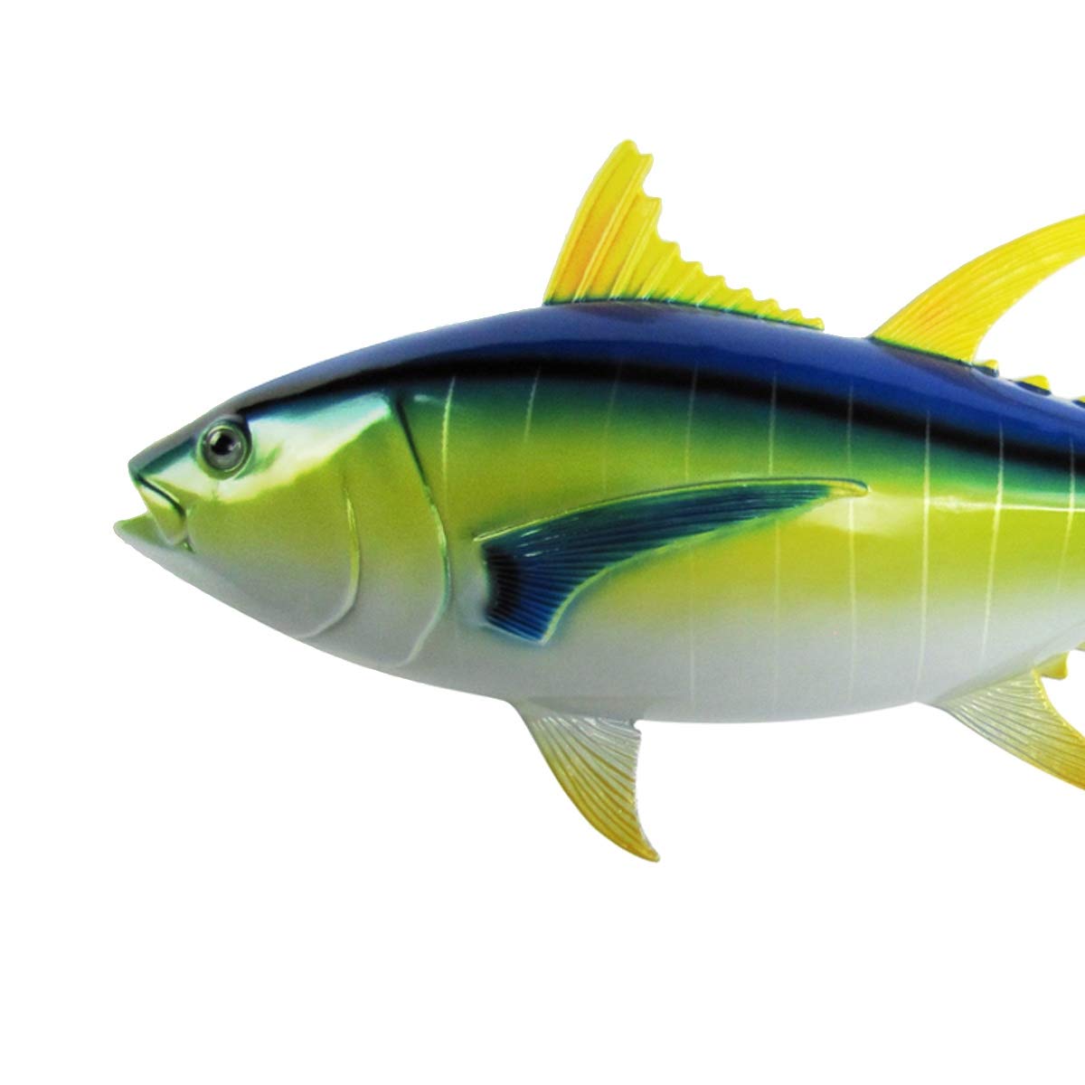 魚　剥製壁掛け 鮎剥製壁掛け 鮎 剥製 鮎剥製壁掛け Amazon | サンライン(SUNLINE) ZX