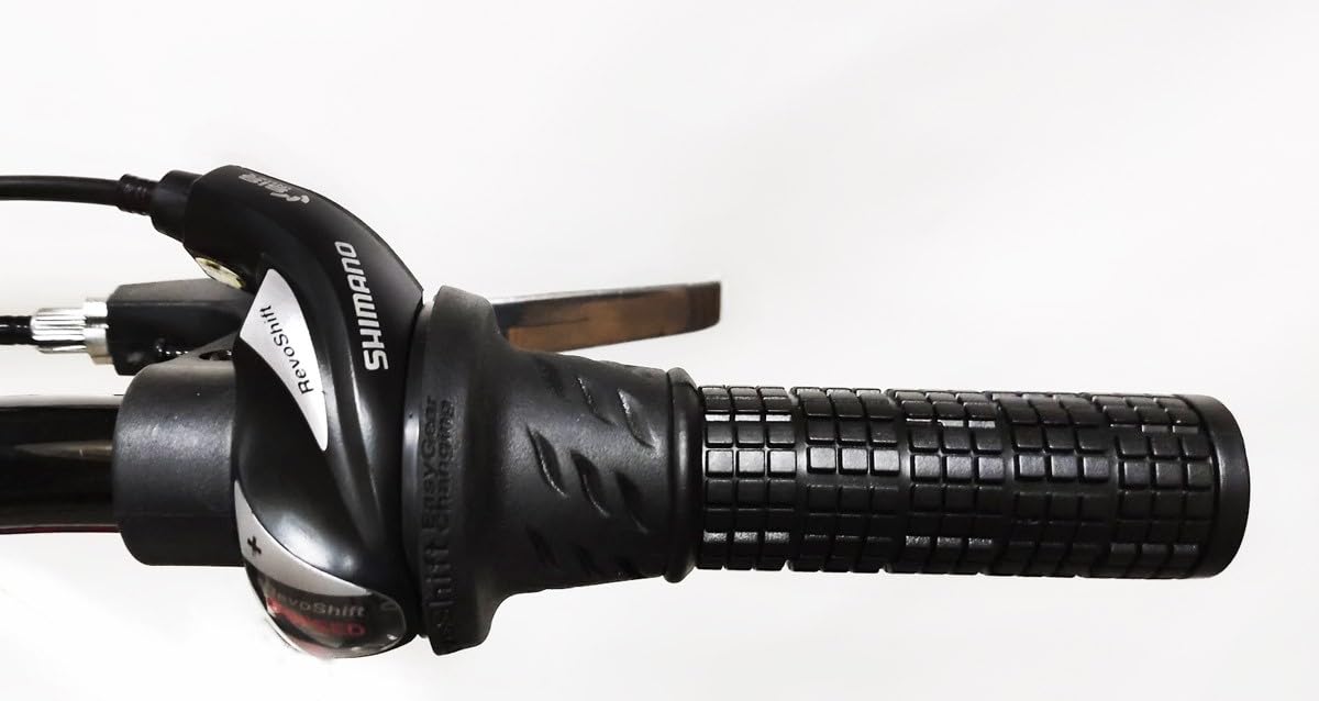 CLOOT Bicicleta Plegable Iconic Urbana Ligera Ciudad Cambio 6 Velocidades Cuadro Ligero Ruedas 20 Pulgadas Sillin Ergonomico Regulable Luces Guardabarros Hombre Mujer Uso Diario Talla 1.60-1.83m