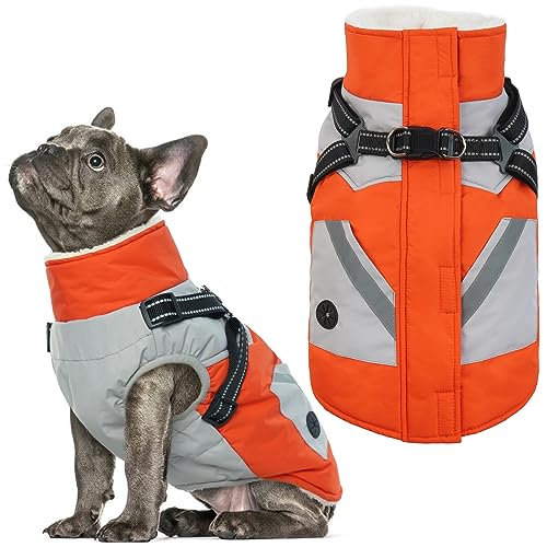 IECOii Dog Winter Coat Waterproof - Orange, Medium - Dog Coat with Harness Built in for Medium Dogs, Thermal Warm Fleece Lined with Zip Up Cold Weather Jacket,Reflective Snowsuit for Outdoor