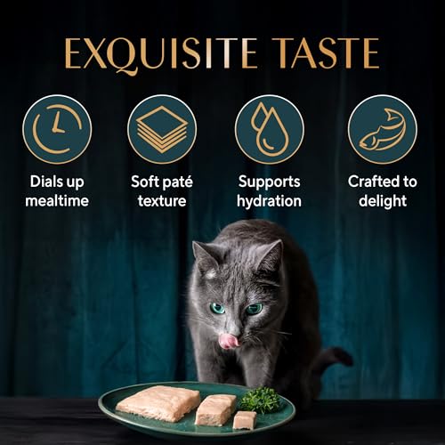 Image of Sheba Pate Adult Wet Cat Food, Maguro, 70g, Soft Pate Texture, Hydrating Food Crafted Ingredients, Balanced Nutrition for Healthy Cats​