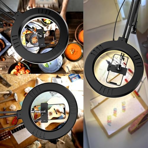Image of Sounce Overhead Video Stand with 6-inch Ring Light, Metal arm Body,1 /4 inch Ball Head for Camera Desktop Stand, Mobile Bedroom Stand and Tablet Bracket for Overhead Video (6 inch with Ring Light)