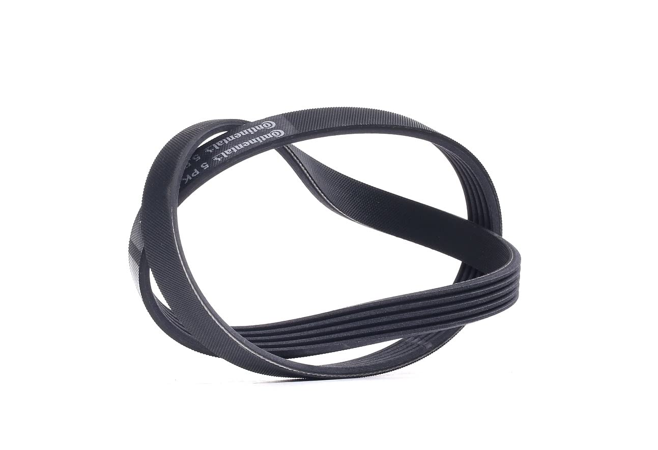 CONTINENTAL CTAM Poly V-riem set voor o.a. Bmw - 6PK1538K1