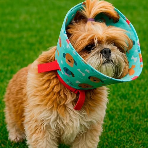 Colar Cirúrgico Elizabetano P Premium Em Tecido Para Shih Tzu/Ihasa Apso