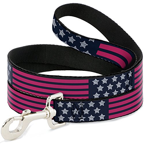 Laisse pour chien Stars & Stripes 2 Buckle Down nylon robuste - 2