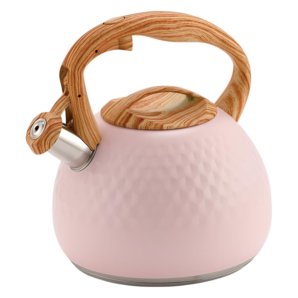 CTRLZS Kettle Whistling Kettle 3L Kettle Lid with Handle Induction Cooker Gas Stove Kettle B