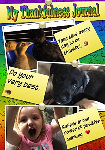 My Thankfulness Journal