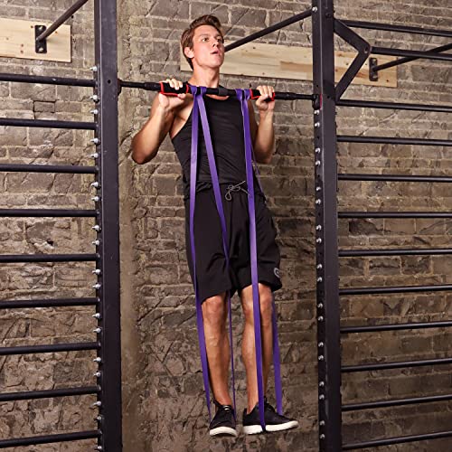 Odoland 5 Packs Pull Up Assist Bands, Pull Up Straps, Resistance Bands With Door Anchor And Handles, Stretch Mobility, Powerlifting And Extra Durable Exercise Bands With Eguide #TOP3