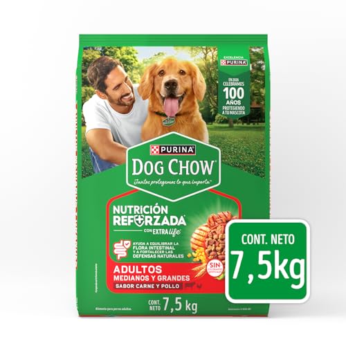 El Mejor Listado de Alimento para perro top choice del mes. 5 El Mejor Listado de Alimento para perro top choice del mes. 5