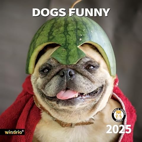 2025 Wall Calendar,Funny Calendar 2025, November 2024 - December 2025, Wall Calendar Funny Animal Memes, 12" x 24" Opened, Full Page 14 Months Thick Paper for Gift Calendar Organizing Planning Cover