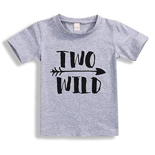 Second Birthday Party Shirt Two Wild Top 2nd Birthday Baby Little Boy Blouse Tee Clothes (2 T, Gray)