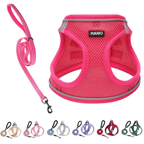 PUKAKO  n[lX L [hZbg ^ pn[lX Lp  bVf ˍޕt ߉\ EȒP h~ 