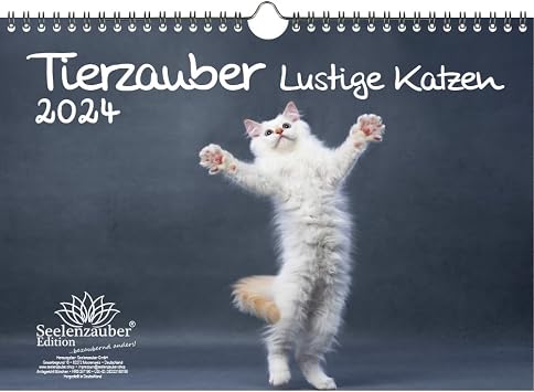 Tierzauber lustige Katzen DIN A4 Kalender fr 2024 Lustige Momente mit Katzen - Seelenzauber
