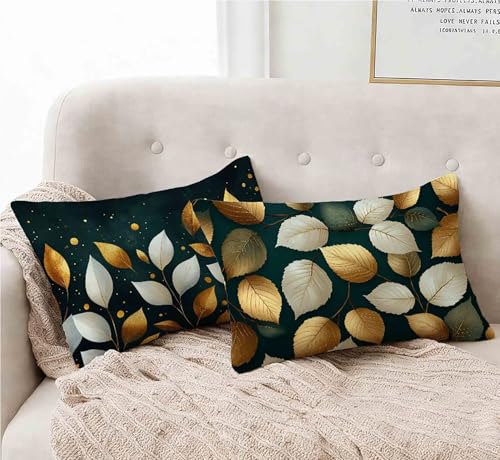 �t �N�b�V�����J�o�[ 30x50 CM 2���Z�b�g, �h�� ���� �N�b�V�����J�o�[ ���F ���z�c�J�o�[ ��v �B���t�@�X�i�[ �􂦂� �������J�o�[ �_�炩 �T���T���̔��G�� �ȒP���E, �K�p�Ώ� �t �� �H �~, �ƒ둕�� -lsy25012L8