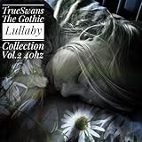  Seeing is Only the Beginning