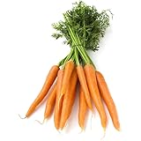 Carotte fane botte,1 pièce...