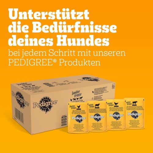 PEDIGREE Junior Multipack Gemischte Selektion in Gelee Hundenassfutter im Portionsbeutel für junge Hunde 4 Varietäten 84 x 100g
