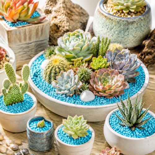 Image of Blue Succulent and Cacus Gravels,Fairy Garden Mini Rocks,0.88 LB,3-5mm | Aquarium Fishbowl Decor Pebbles,Indoor Plants Topper Dressing Small Stones