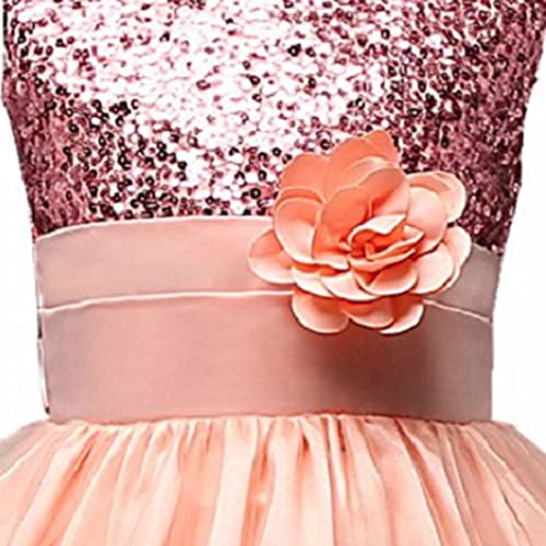 Image of Ripening Kids Sequined Ball-Gown for Your Little Princess's Birthday Celebration Girls' Dresses