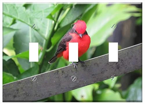 Switch Plate Triple Toggle - Landscape Rural Area Kettle Armenia Quindio 2