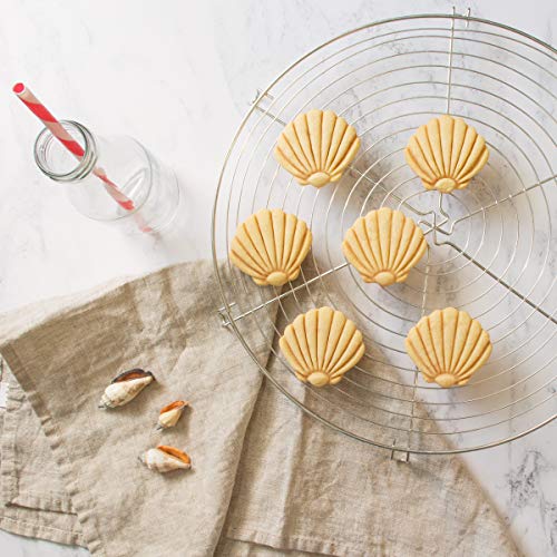 Seashell Cookie Cutter, 1 Piece - Bakerlogy #TOP3