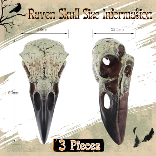Figuritas góticas de calavera de cuervo 3 pcs decoración hogar miniatura 2