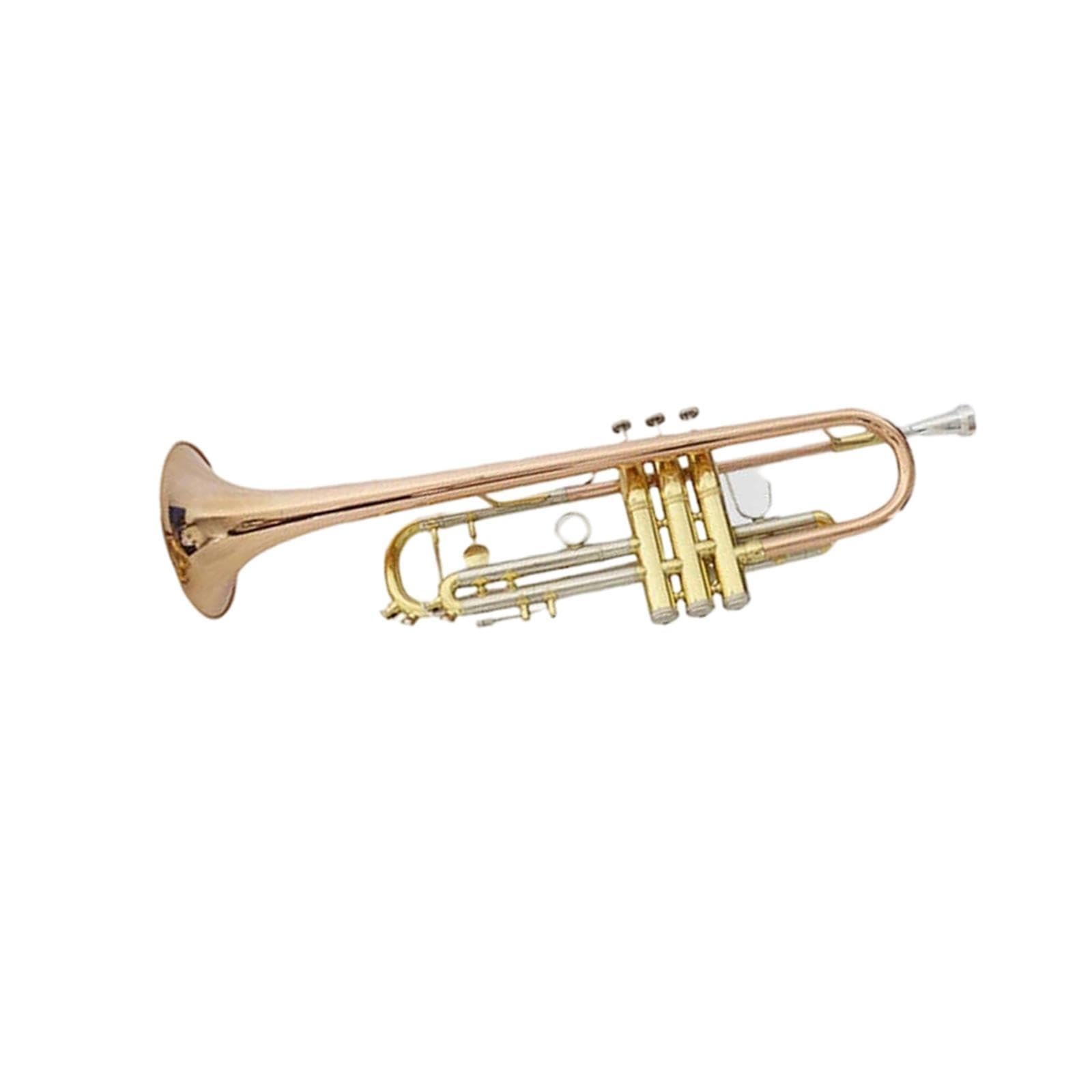 Professional Trumpet Trompeta en si bemol para principiantes