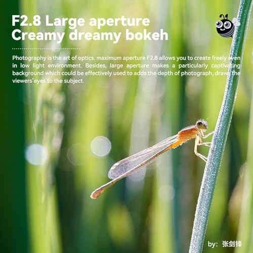 Lente Macro TTArtisan 40mm F2.8 E-Montura para Sony - Fernando Cortés