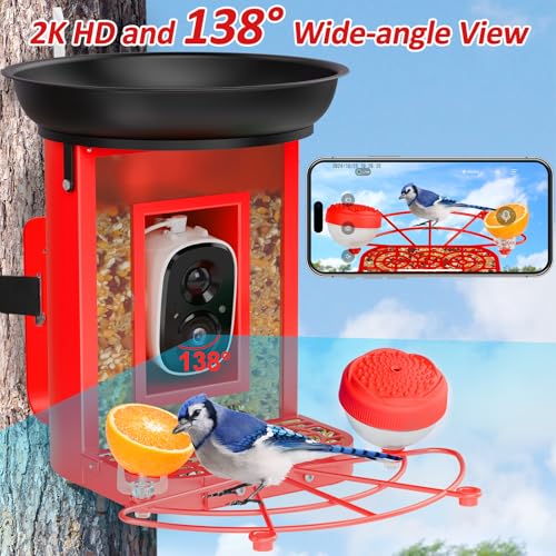 Bird Feeder with Camera, 2K Birds Camera with 3-in-1 Feeding, Drinking, and Bathing | AI Identify, Real-Time Monitoring and Alerts | IP65 and Squirrel-Proof for Outdoors, Gift for Bird Lovers by InstyQ - Used condition - Image 7