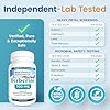Berberine 500mg Supplement, 97% Tested Purity Berberine Supplements Sourced From Non-GMO Berberis Aristata (60 Veggie Caps of Berberine HCL) #4