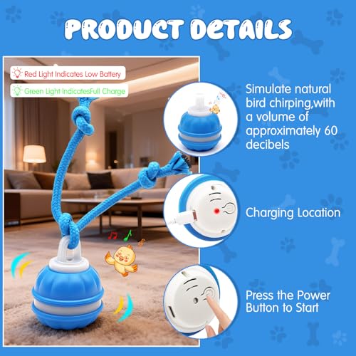 Interaktives Hundespielzeug, Interaktiver Spielball für Hunde mit LED-Lichtern, 3 Spielmodi, Hundeball Elektrisch mit Seil & Bellen, TYPE-C Aufladbar, Hundespielball für Kleine Mittlere Große Hunde