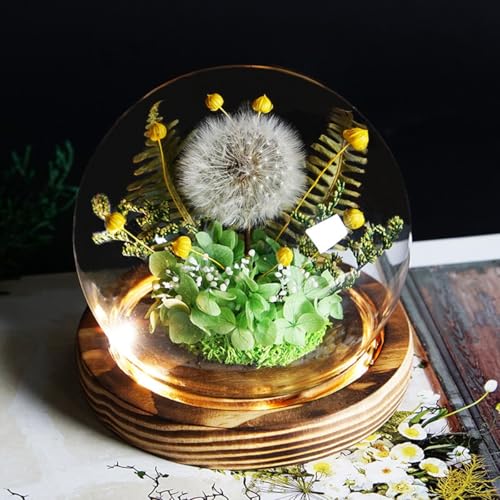 �K���X�h�[������G�^�[�i���t�����[�i�����p�j LED���C�g�t���K���X�h�[������v���U�[�u�h�q�}�����ƃo�� ��̓��M�t�g ���ꂳ��A���l�A���΂������A�����ւ̃v���[���g(Style 2)