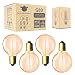 4-Pack 60 Watt Globe G80 Edison Light Bulbs by NALAKUVARA, E26 Medium Screw Base - Antique Vintage Style - Amber Warm - Dimmable - Incandescent Filament Lamp (60w/110v)