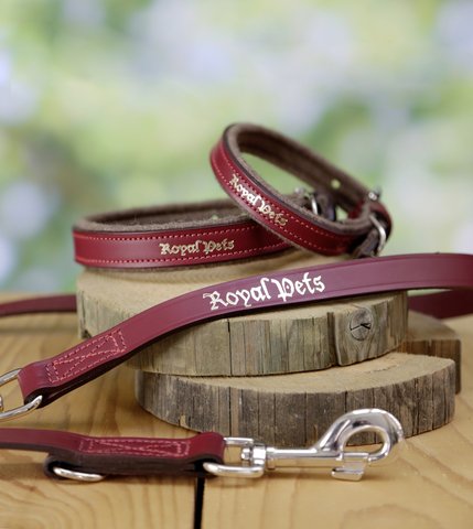 Kerbl Royal Pets Leash, 25 mm x 200 cm - Image 2