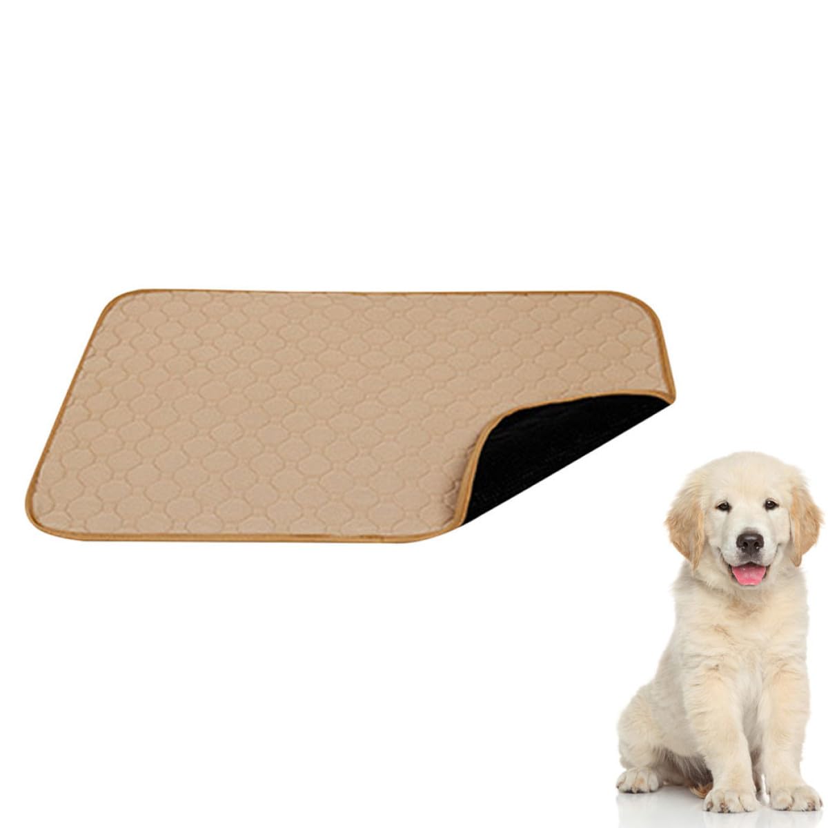 Amosfun Tapis Propreté Chiot Absorbants pour Chien, Alèses pour Animaux, Tissu Imperméable et Lavable, Skin-Friendly