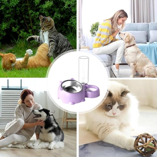 Gamelle pour chat inclinée double avec réservoir d'eau automatique - 5