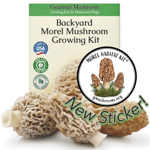 Morel Habitat Kit & Morel Sticker