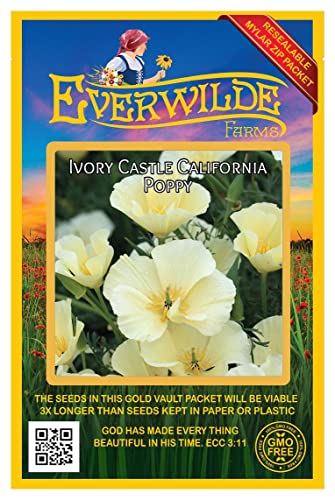 Everwilde Farms - 1000 Ivory Castle California Poppy Wildflower Seeds - Gold Vault Jumbo Seed Packet #TOP7