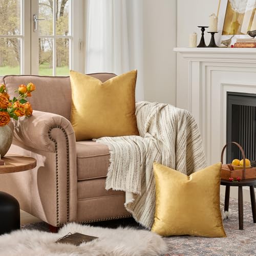 Image of Golden Throw Pillow Covers 18x18 Decorative Velvet Cushion Covers Pack of 2 Pillowcase for Sofa