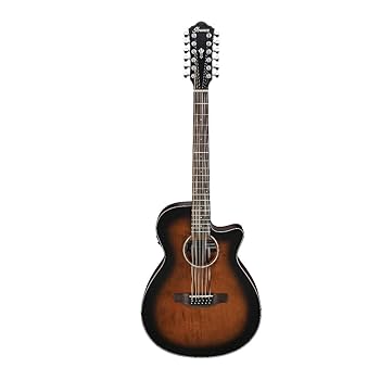 Ibanez アイバニーズ エレアコギター AEG-450MS E ケース付き Ibanez アイバニーズ エレアコギター AEG-450MS E ケース付き