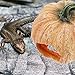 Amosfun Resin Pumpkin Reptile Hideout 3-Inch Terrarium Decor for Lizards Frogs Turtles Naturalistic Reptile Tank Shelter Cave